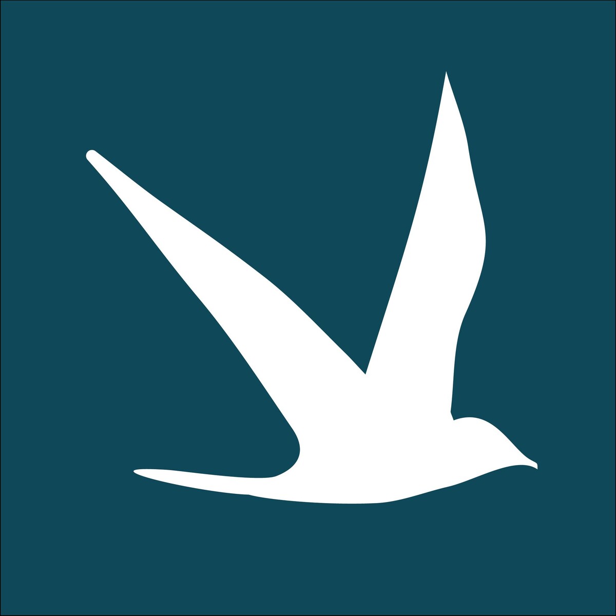 Pittis Newport Estate Agents Logo