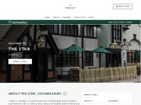 Website Screenshot Star