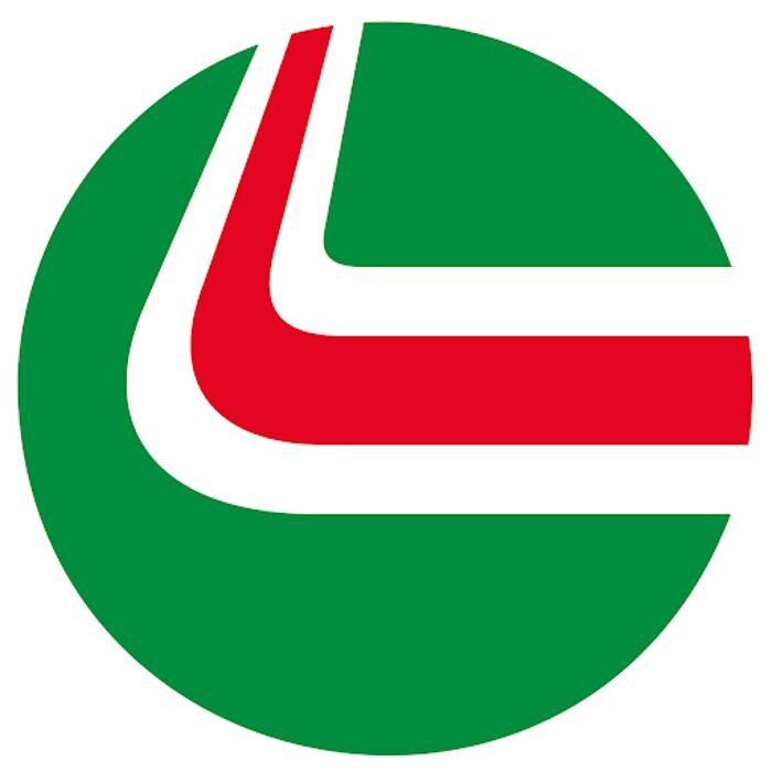 Derwen Garage Castrol Service Logo