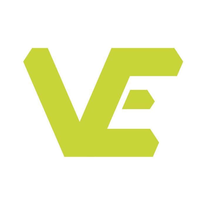 VE Property Dev. Ltd Logo