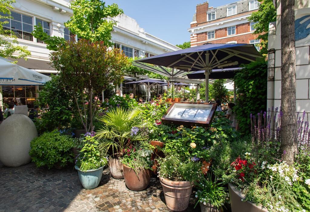Images Bluebird Chelsea
