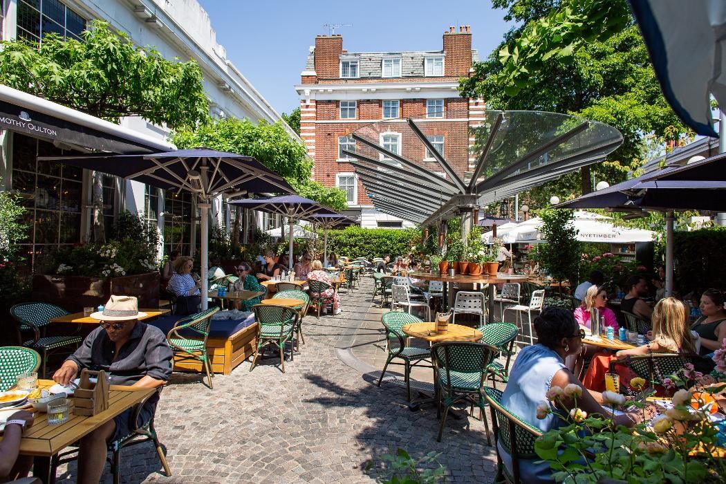 Images Bluebird Chelsea