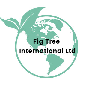 Fig Tree International Ltd Logo