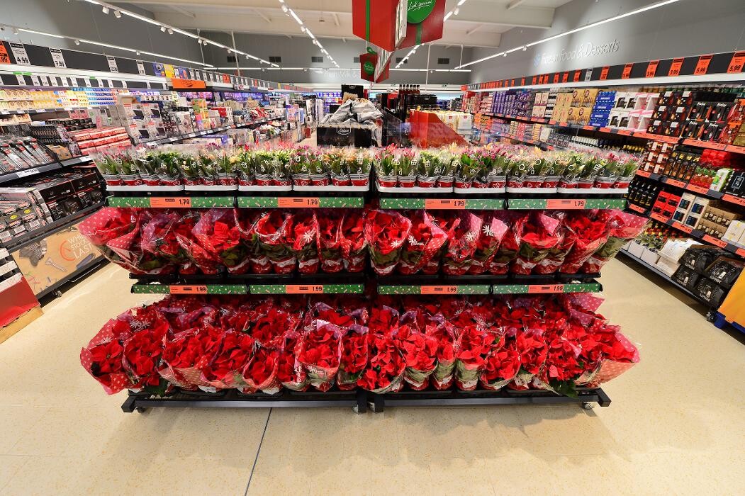 Images Lidl