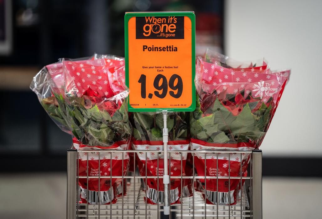 Images Lidl