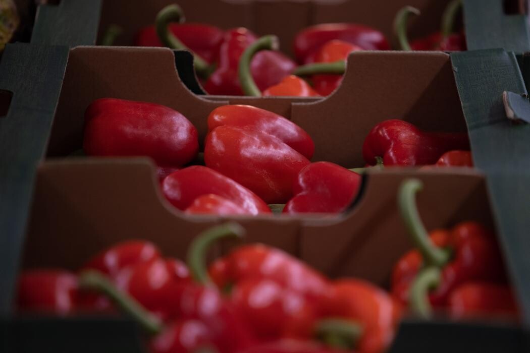Images Lidl