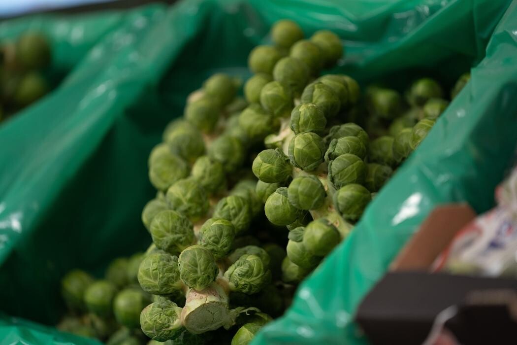 Images Lidl