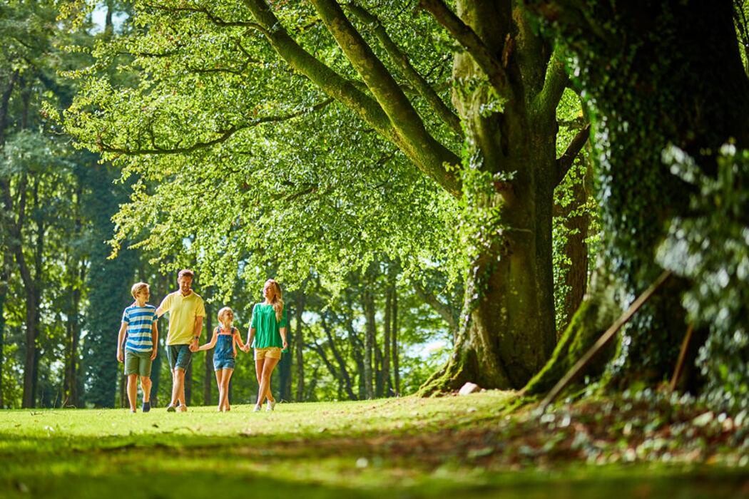 Images Hengar Manor Holiday Park