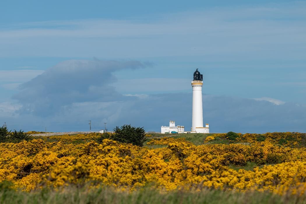 Images Lossiemouth Holiday Park