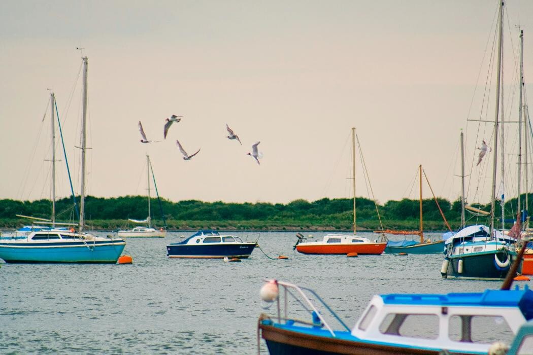 Images Henry Adams Estate Agents Emsworth
