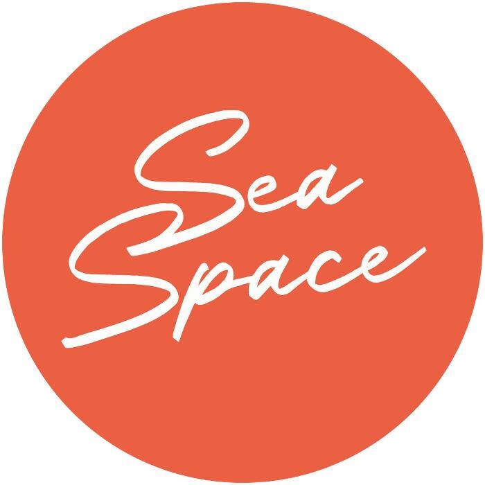 SeaSpace Logo