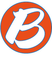 Brisk & Co, Chartered Certified Accountants Logo