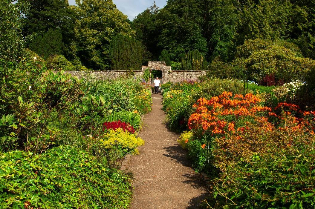 Images The Azalea, By Glenapp Castle