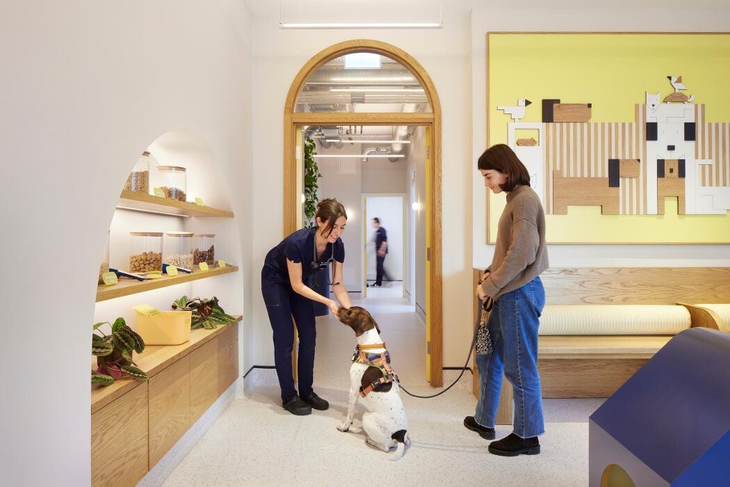 Images Hello Vet Bushey