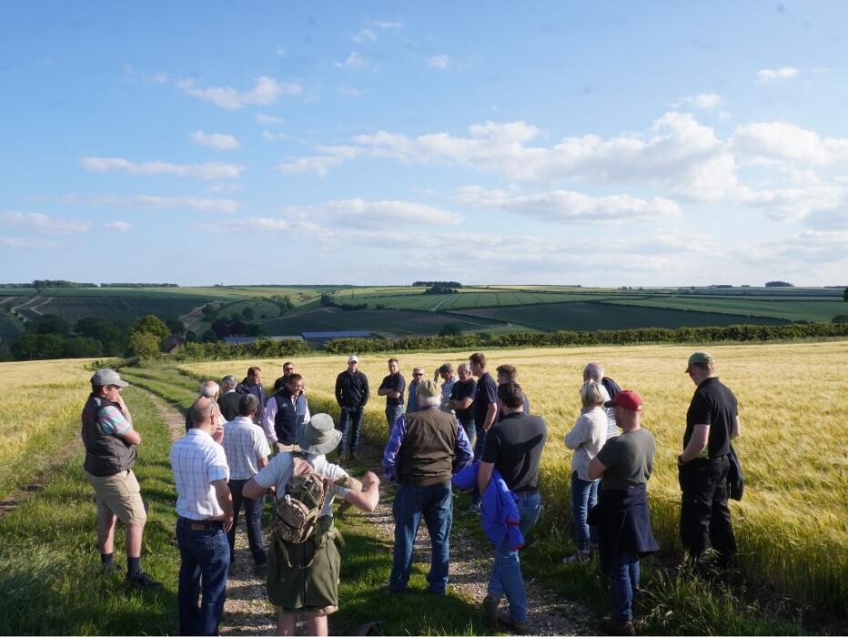 Images Future Food Solutions Ltd