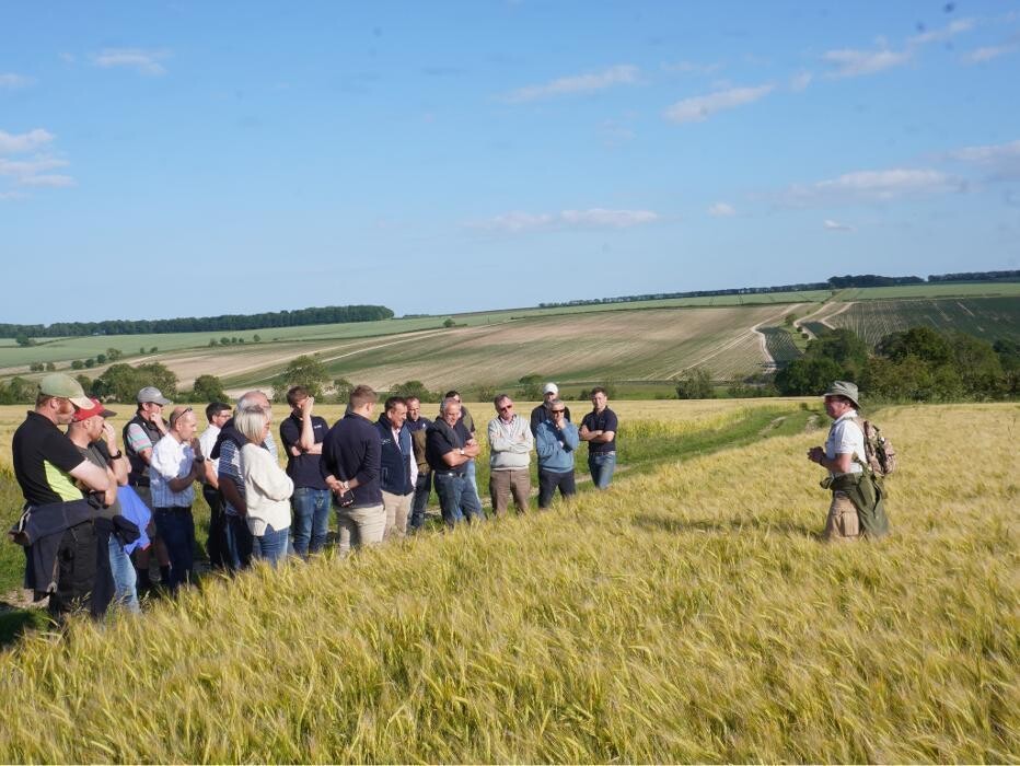 Images Future Food Solutions Ltd