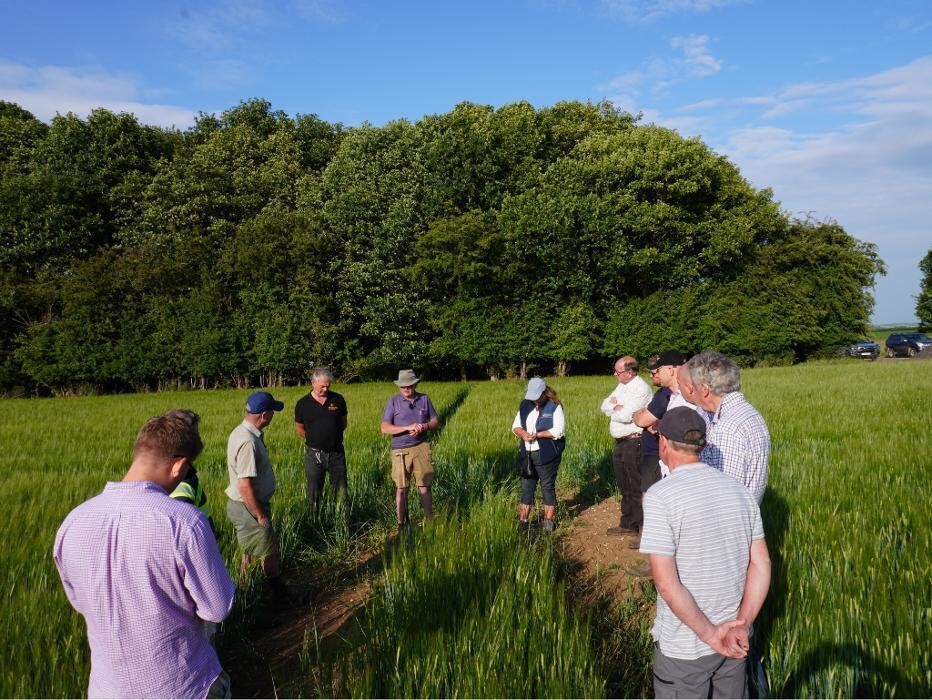 Images Future Food Solutions Ltd