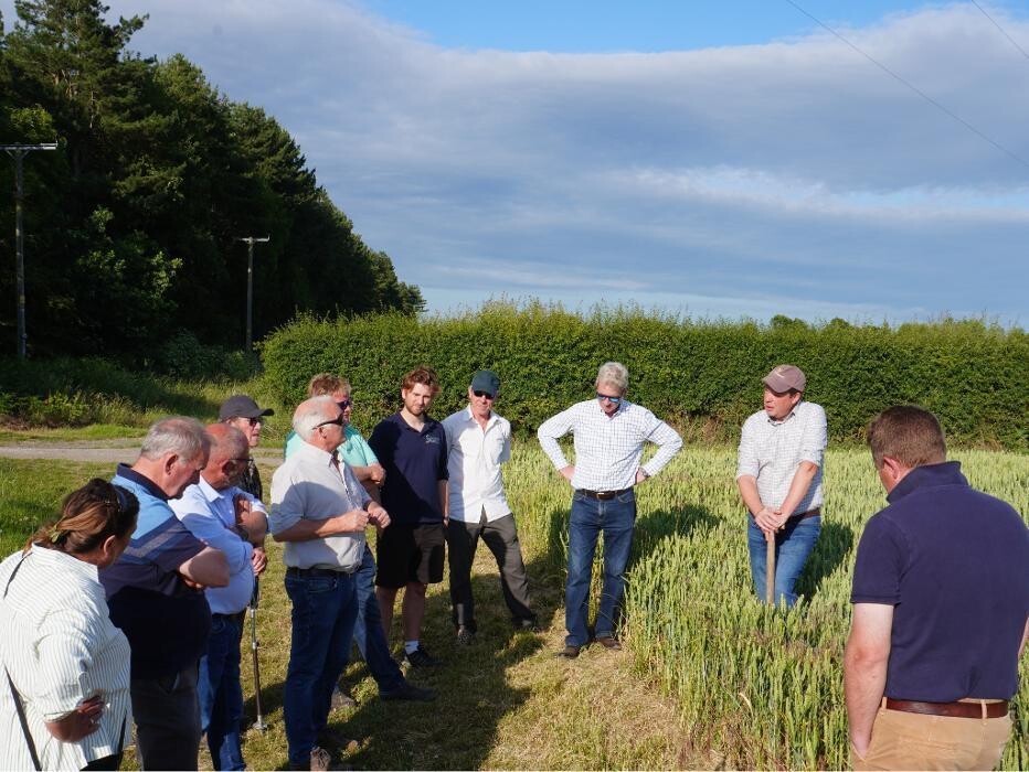 Images Future Food Solutions Ltd