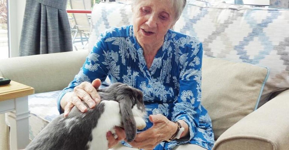 Images Abbeyfield, Hale Court