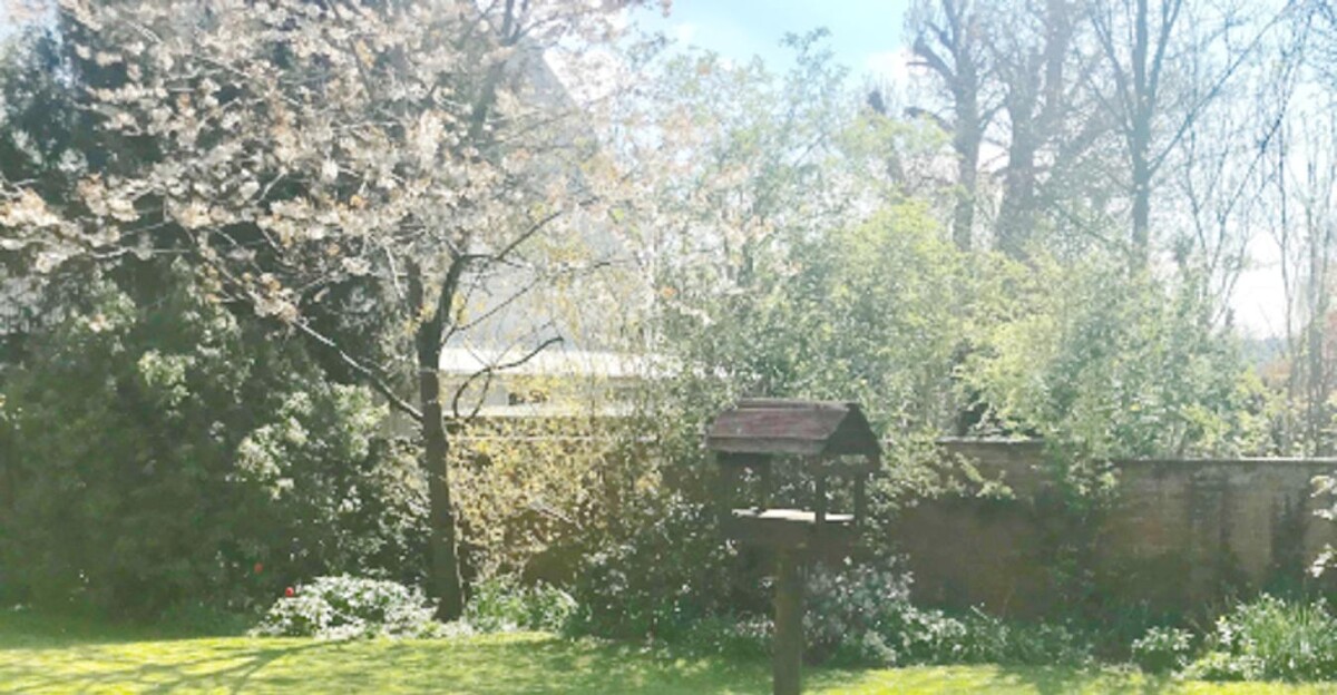 Images Abbeyfield House, Sherborne