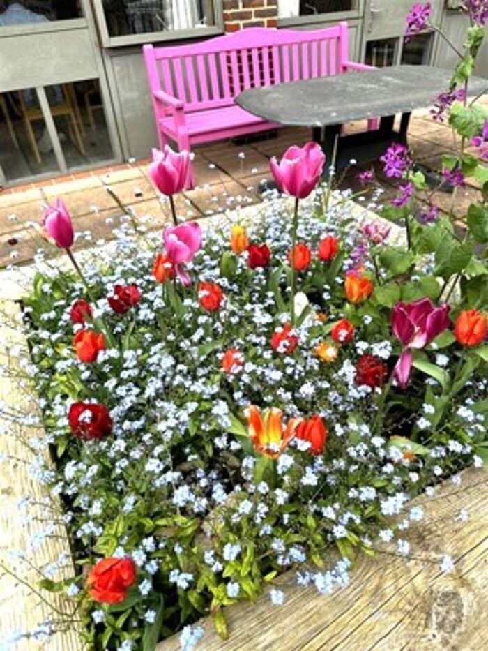 Images Abbeyfield House, New Malden