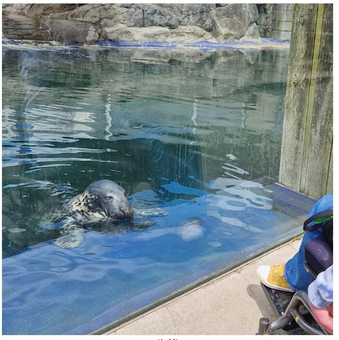 Images Bluebird Care Mid and West Cornwall