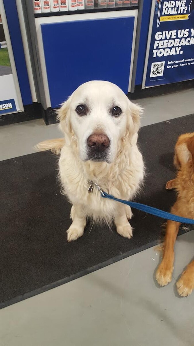 Images Jewson Cranleigh