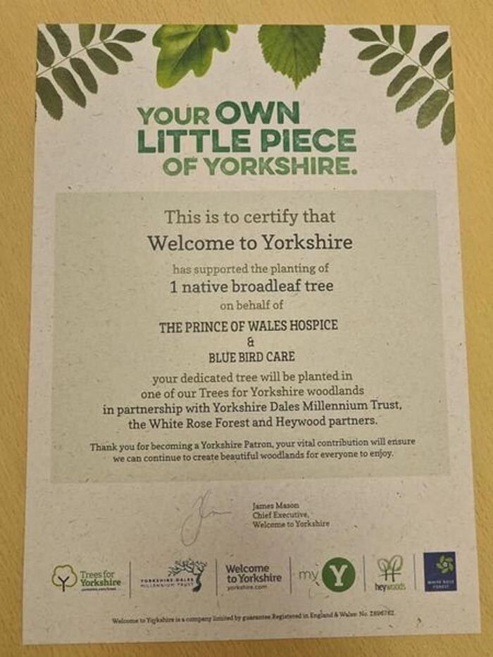 Images Bluebird Care Wakefield & Kirklees