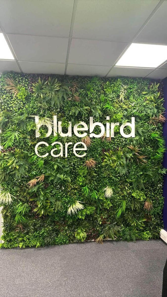Images Bluebird Care Bedford