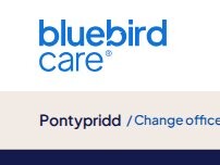 Website Screenshot Bluebird Care Pontypridd