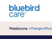 Website Screenshot Bluebird Care Maidstone