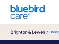 Website Screenshot Bluebird Care Lewes District, Brighton and Hove