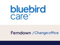 Website Screenshot Bluebird Care Ferndown