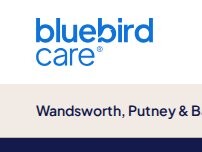 Website Screenshot Bluebird Care Wandsworth Putney & Battersea