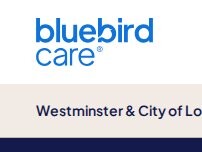 Website Screenshot Bluebird Care Westminster & City of London