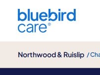 Website Screenshot Bluebird Care