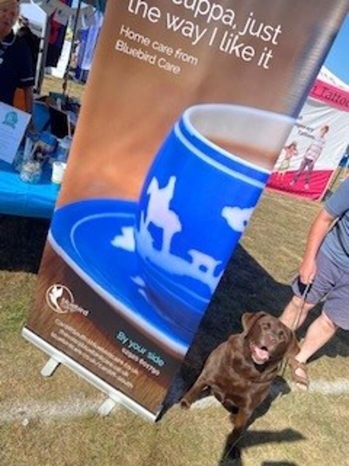 Images Bluebird Care Vale of Glamorgan