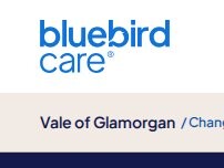 Website Screenshot Bluebird Care Vale of Glamorgan