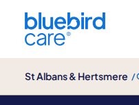 Website Screenshot Bluebird Care St Albans