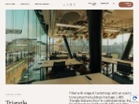 Website Screenshot LABS Triangle