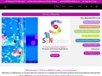 Website Screenshot SENstation Ltd