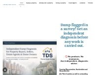 Website Screenshot Thomas Damp Surveys