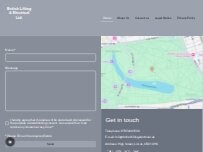 Website Screenshot British Lifting & Electrical Ltd.
