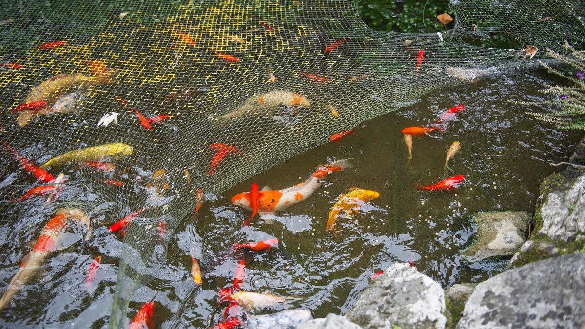 Images Clare House Care Home - Bupa