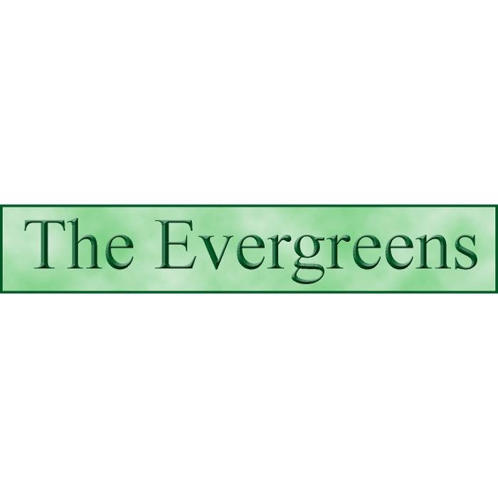 Images Evergreens