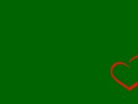 Website Screenshot Andreas Florists