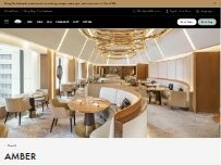 Website Screenshot Amber