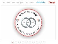 Screenshot for www.essae.com