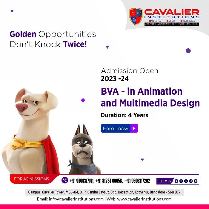 Images Cavalier Institutions