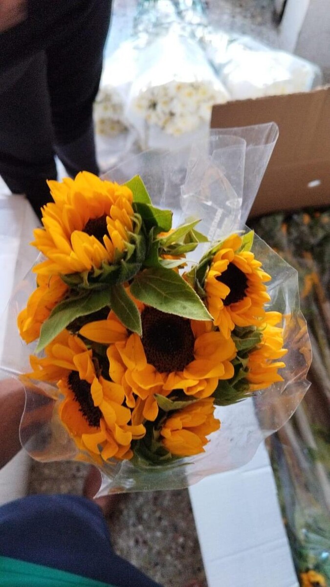 Images Hyderabad Gifts Delivery - Flower and Cake delivery Same day & Midnight